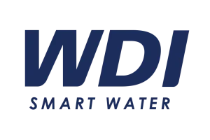 WDI-logo_does_t_have_background_4129x-1024x682